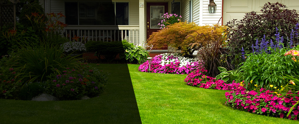 Fort Worth Landscapers