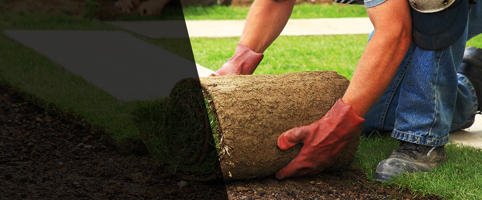 Fort Worth Landscapers